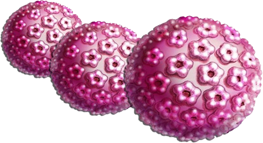 Cal posar-se la vacuna del Virus Papiloma Humà (VPH) quan ja has estat infectat?