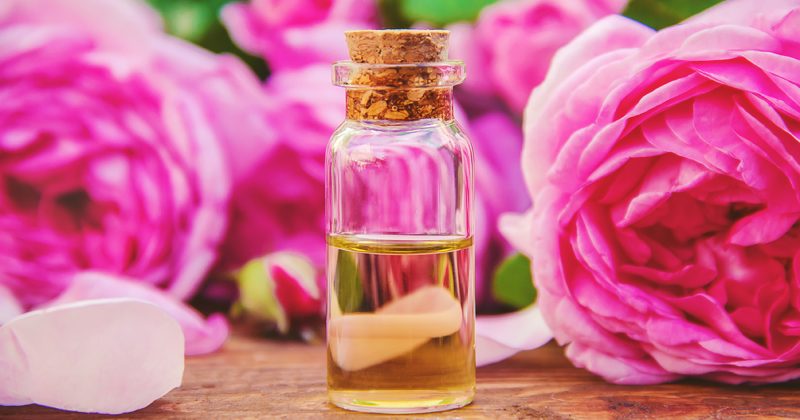 Els beneficis de l’oli de rosa mosqueta per a la pell