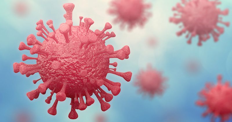 Coronavirus: Higiene i quedar-se a casa, la millor  prevenció